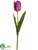 Tulip Spray - Orchid - Pack of 12
