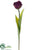 Tulip Spray - Violet Green - Pack of 12