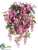 Wisteria Bush - Fuchsia - Pack of 4
