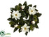 Silk Plants Direct Magnolia Wreath - Cream - Pack of 2