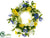 Morning Glory, Fern Wreath - Mixed - Pack of 2