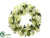 Phalaenopsis Orchid, Skimmia Wreath - Green Two Tone - Pack of 1