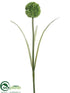 Silk Plants Direct Allium Spray - Green - Pack of 12