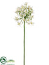 Silk Plants Direct Agapanthus Spray - Cream - Pack of 6