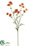 Silk Plants Direct Cosmos Spray - Orange - Pack of 12