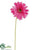 Gerbera Daisy Spray - Green Light Pink Hot - Pack of 12
