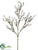 Gypsophila Spray - White - Pack of 12