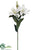 Casablanca Lily Spray - Flame - Pack of 6