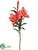 Casablanca Lily Spray - Flame - Pack of 6
