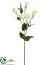 Silk Plants Direct Lisianthus Spray - Cream White - Pack of 12