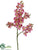 Phalaenopsis Orchid Spray - Fuchsia Pink - Pack of 6
