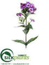 Silk Plants Direct Phlox Spray - Orchid Lavender - Pack of 12
