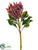 King Protea Spray - Burgundy - Pack of 12