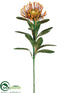 Silk Plants Direct Protea Spray - Rust - Pack of 12