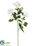 Silk Plants Direct Jewel Stephanotis Spray - White - Pack of 12