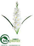 Silk Plants Direct Gladiolus Spray - White - Pack of 12