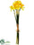 Daffodil Bundle - Yellow Orange - Pack of 12