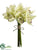Cymbidium Orchid Bouquet - Green - Pack of 12