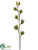 Flowering Agave Spray - Green - Pack of 12