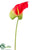 Obaki Anthurium Spray - Red Green - Pack of 12