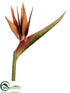 Silk Plants Direct Bird of Paradise Spray - Camel Two Tone - Pack of 6