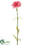 Carnation Spray - Coral - Pack of 24