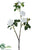 Camellia Spray - White - Pack of 6