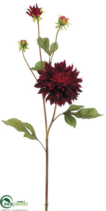 Dahlia Spray - Burgundy - Pack of 12