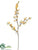 Wild Forsythia Branch - Yellow - Pack of 12