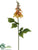 Flame Tree Flower Spray - Peach - Pack of 12