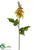 Flame Tree Flower Spray - Yellow - Pack of 12