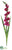 Gladiolus Spray - Fuchsia Green - Pack of 6