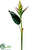 Heliconia Spray - Green - Pack of 8