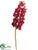 Cymbidium Orchid Spray - Red - Pack of 4