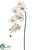 Phalaenopsis Orchid Spray - White - Pack of 4