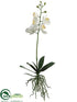 Silk Plants Direct Phalaenopsis Orchid Plant - White Yellow - Pack of 8