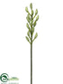 Silk Plants Direct Cymbidium Bud Spray - Green - Pack of 6