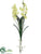 Vanda Orchid Plant - Green - Pack of 6
