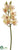 Cymbidium Orchid Spray - Cream Burgundy - Pack of 6