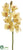 Cymbidium Orchid Spray - Yellow Burgundy - Pack of 6