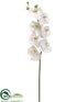 Silk Plants Direct Phalaenopsis Orchid Spray - White Green - Pack of 4