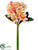 Plumeria Spray - Yellow Fuchsia - Pack of 12