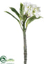 Silk Plants Direct Plumeria Spray - Cream Green - Pack of 6