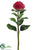 Needle Protea Spray - Red - Pack of 12