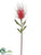 Pincushion Protea Spray - Pink - Pack of 12