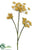 Queen Anne's Lace Spray - Yellow - Pack of 12