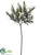 Rosemary Branch - Green Two Tone - Pack of 8