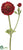 Double Ruffle Ranunculus Spray - Red - Pack of 12