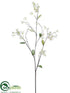 Silk Plants Direct Starflower Spray - Cream Green - Pack of 12