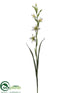 Silk Plants Direct Watsonia Spray - Cream Plum - Pack of 12